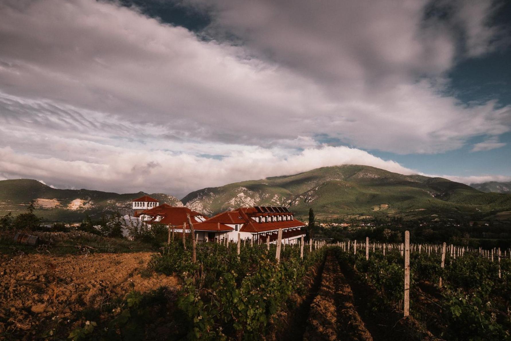 Popova Kula Hotel & Winery Demir Kapija Eksteriør bilde
