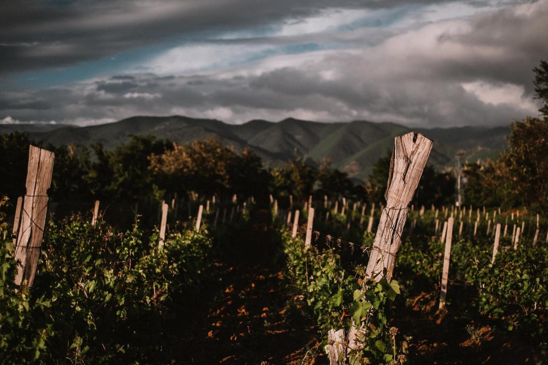 Popova Kula Hotel & Winery Demir Kapija Eksteriør bilde